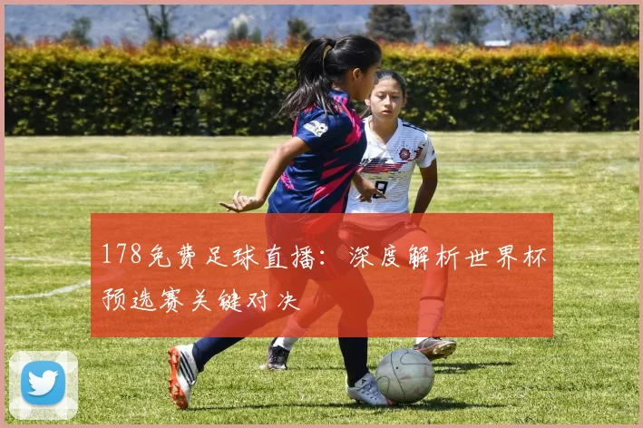 178免费足球直播:深度解析世界杯预选赛关键对决