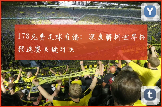 178免费足球直播:深度解析世界杯预选赛关键对决